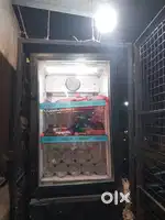 Mini fridge