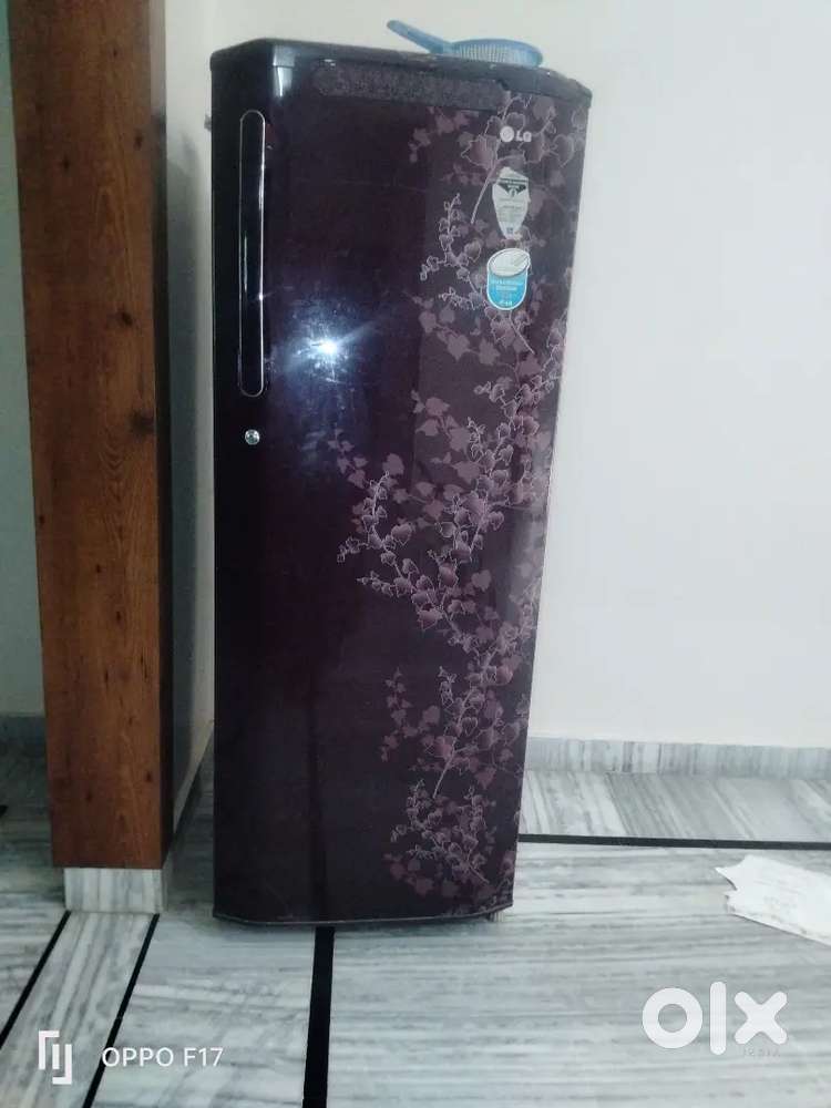 Lg fridge 250