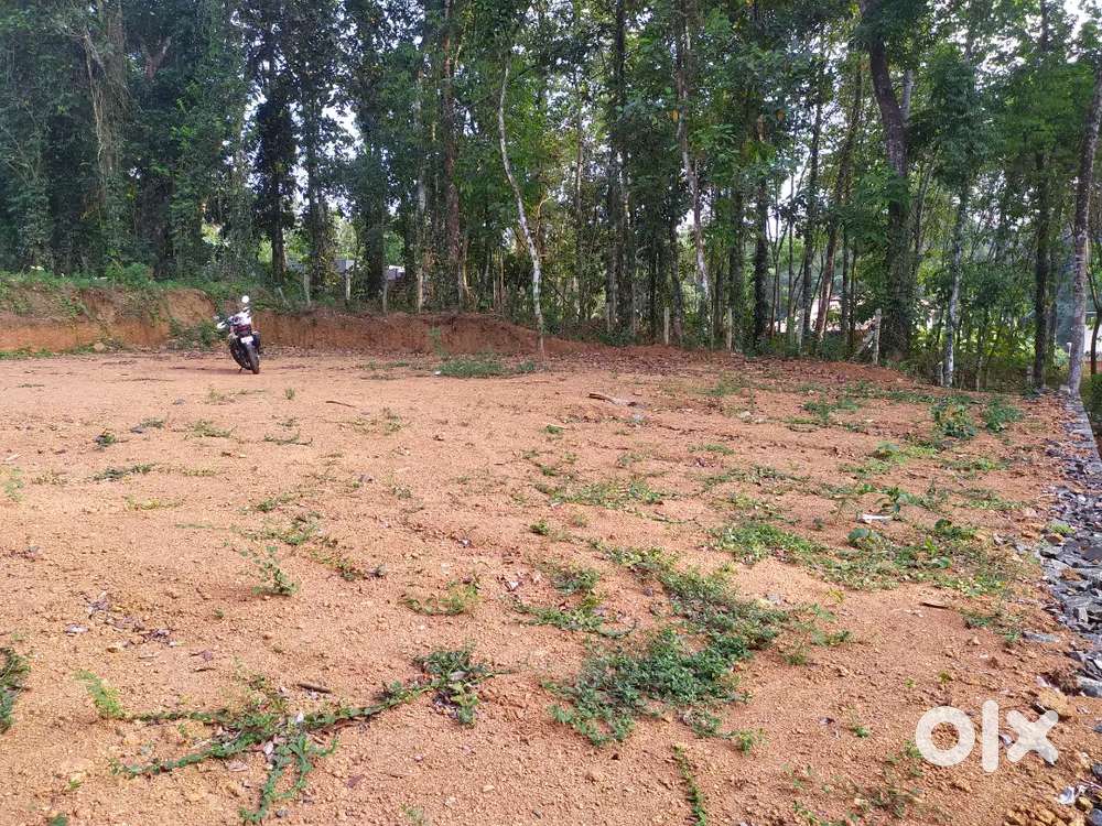 Perfect rectangular plot for sale near by main road,12 cent land