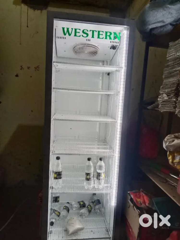 Western company 15month old prize 32000