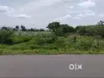18.5acre TiruVannamalai to 18km layout investment property