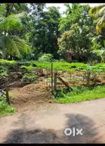 27 cent Land Off Nangiarkulangara- Mavelikkara State Highway.