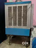 Cooler (1 yr old)