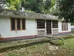 Plot for sale in chandmari