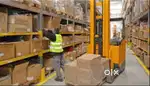 Picker Packer Job in Faridabad Urgent hiring