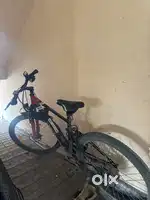 Electic cycle