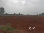 Agriculture land
