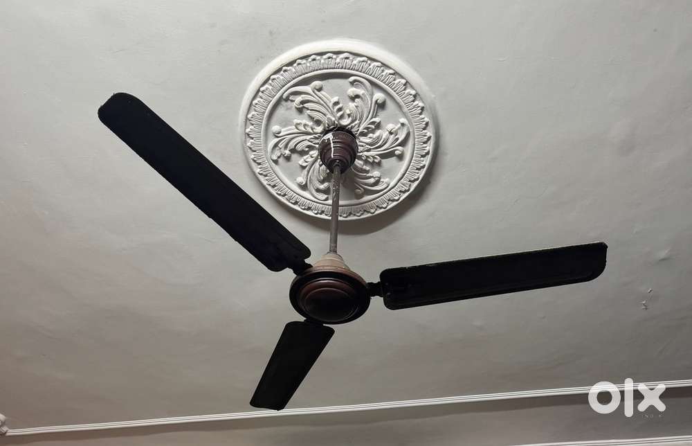6 BIG CIELING FANS + 2 small cieling fans