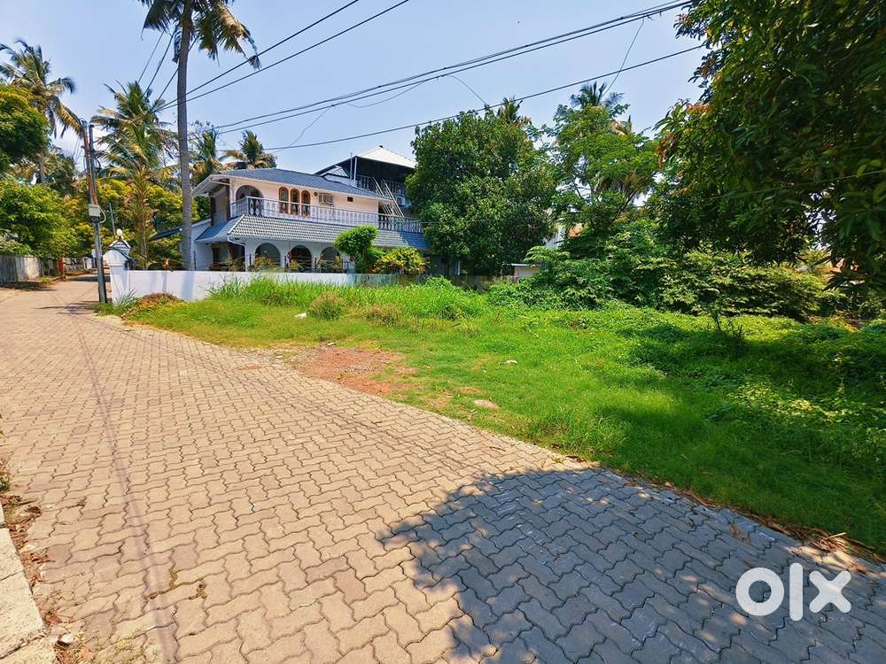 Edapally pathadippalam metro 250metr 10.5cent plot cent 16lakh