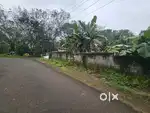 RESIDENTIAL LAND FOR SALE IN PUKKATTUPADY NEAR KIZHAKAMBALAM KAKKANAD