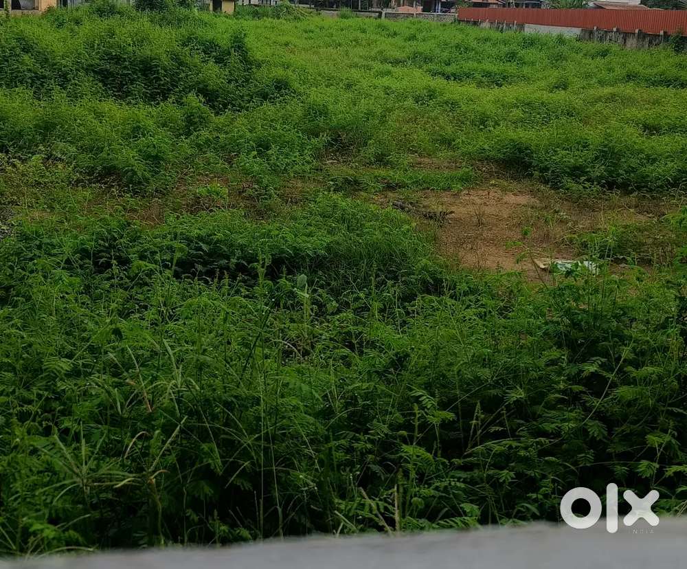 7 cent land for sale in the heart of Mm junction