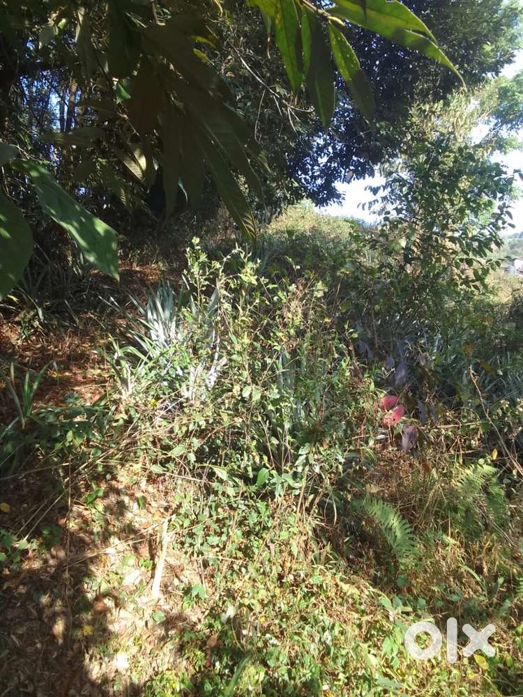 Land for sale at Umran Parilla,