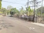 Land 60 cents main road side Kumaranalloor-Kudamaloor road 5.90 lakh/c