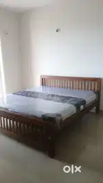 New Acacia cot with mattress at combo offer limited period