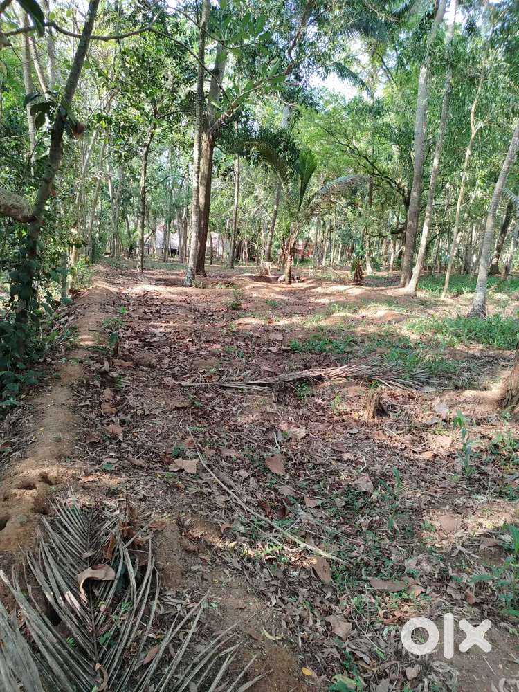 House polot Near Balaramapuram -Uchakkada road