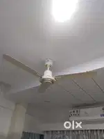Ceiling Fan 48 inch - 02 Nos