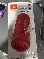 Jbl flip 6 speaker