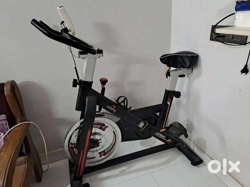 Dolphin fitness Cycle