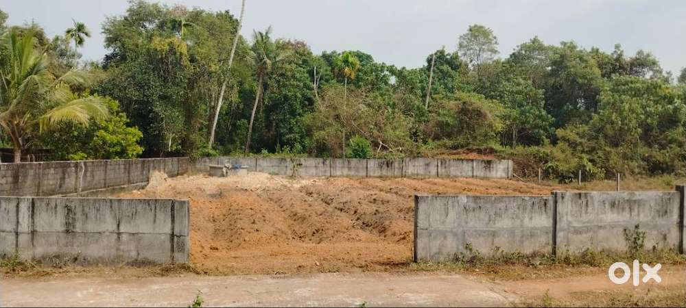 *സ്ഥലം വില്പനക്ക്* : 2018 ഇൽ വെള്ളം കയറാത്ത *പുരയിടം*. ചുറ്റും മതിൽ.
