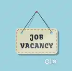 Need Digital Director and BDO- BUSINESS DEVELOPMENT OFFICER