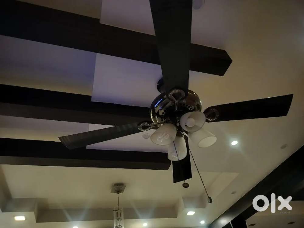Ceiling fan with light
