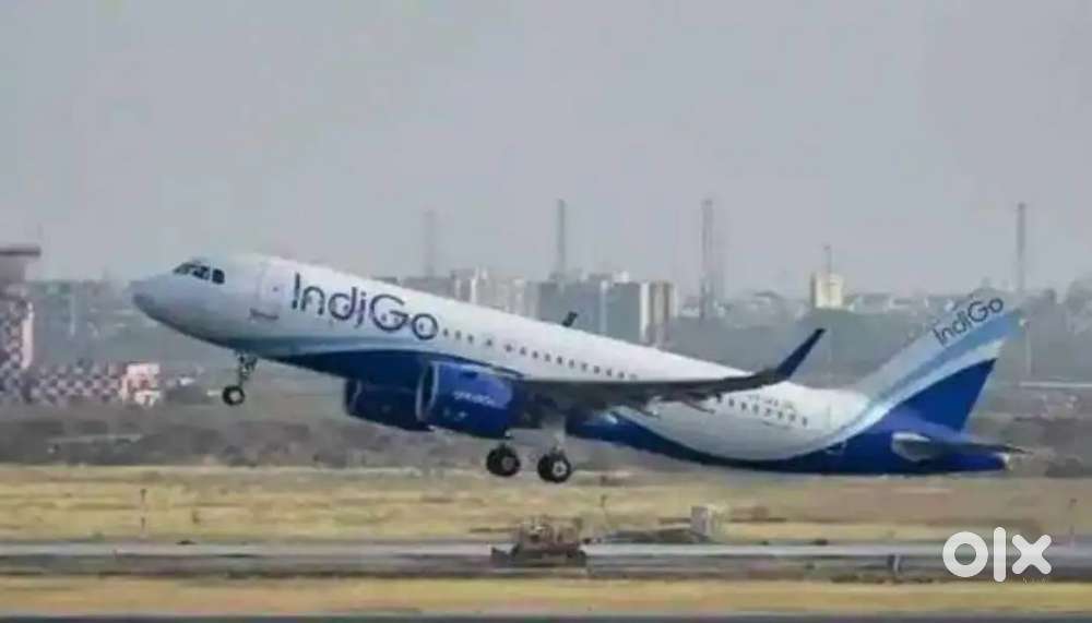 Male and female hiring for airport job