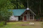 Couple Rooms in Vattavada