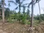 30 cent plote in koottanad