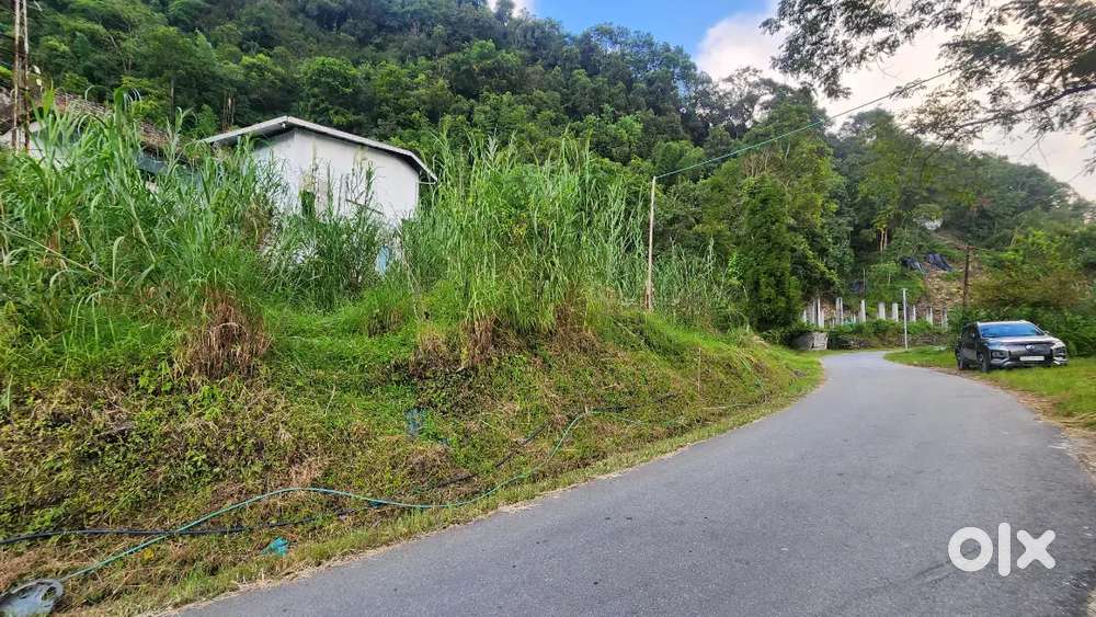 Urgently In Need Of Money