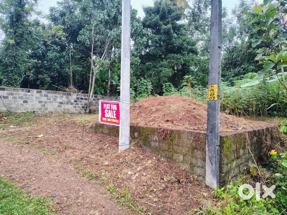 Plot for sale at paippadu, residential area