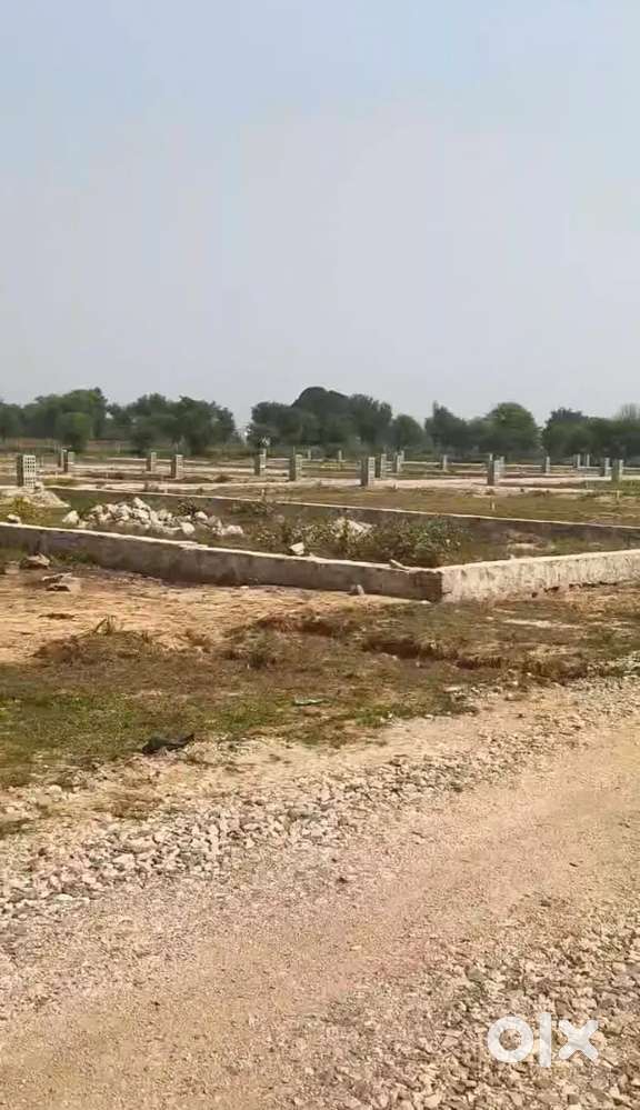 50% case and 50% lone approved any time