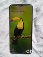 Samsung F23