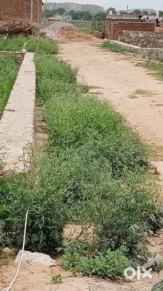 100 to 1000 sqyd plot near honda chowk  bhiwadi