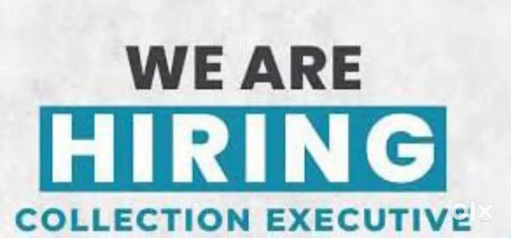 Collection Executive