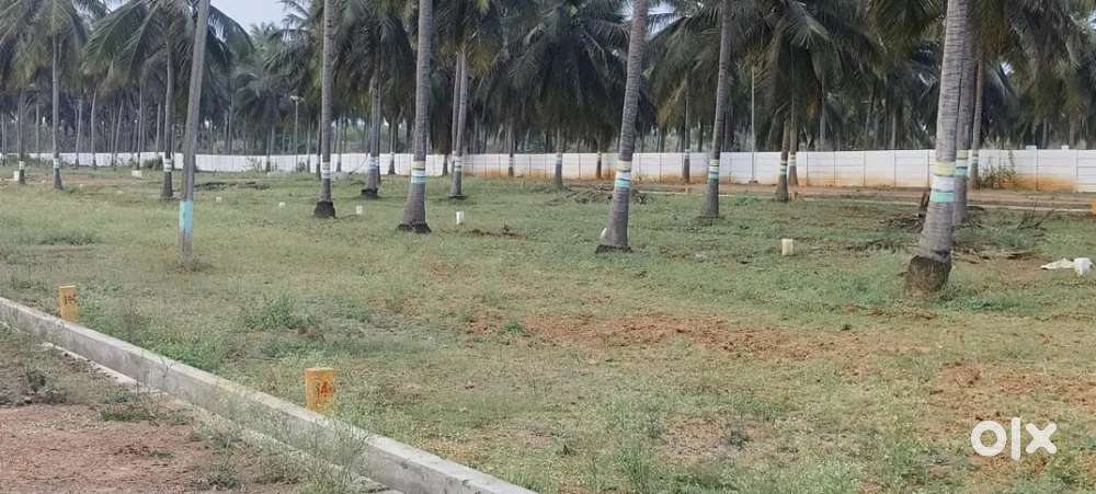 గజం 8999/- వైజాగ్ to శ్రీకాకుళం రోడ్ గోవిందపురం బీచ్ రోడ్ లో