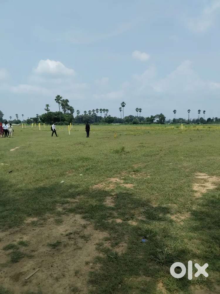 PLOT FOR RESIDENCY SOCIETY