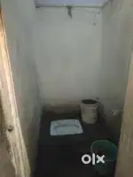 Bachelor job person