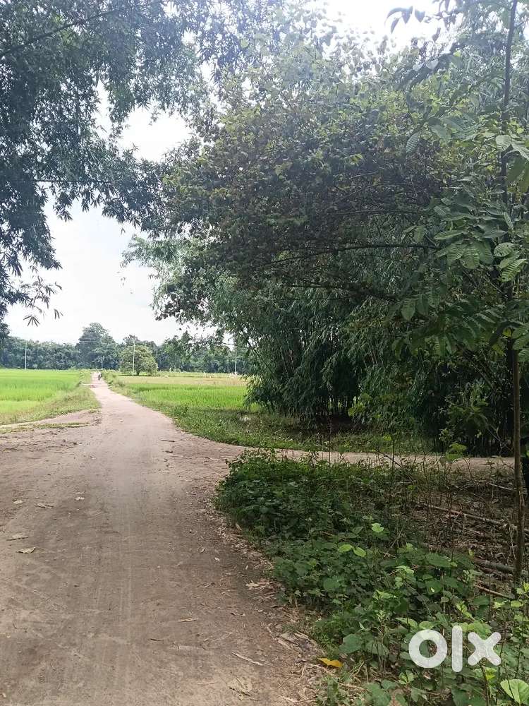 1 BIGHA LAND FOR SELL ,LANDMARK NEAR MAA PADUMONI STONE CRUSHER