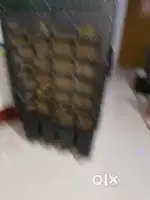 5month old cooler.100% a one class quality