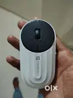 Protronics mouse