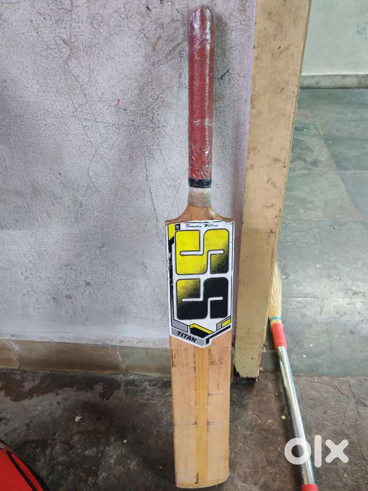 SS cricket bat