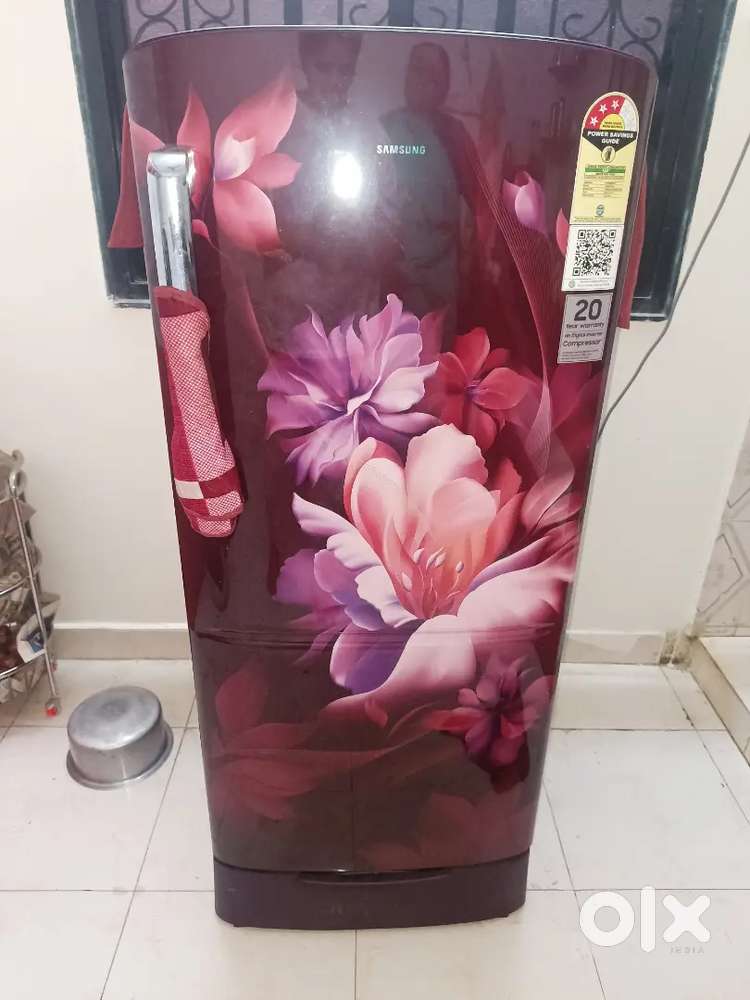 Refrigerator/Fridge and 43 inch TV for sale