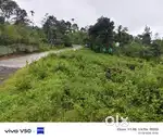 വാഗമണ്ണിൽ 25 സെന്റ് സ്ഥലം വില്പനക്ക് /25 cent plot for salein vagamon