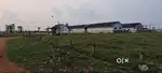 Land for rent beside NH16 1km before toll gate