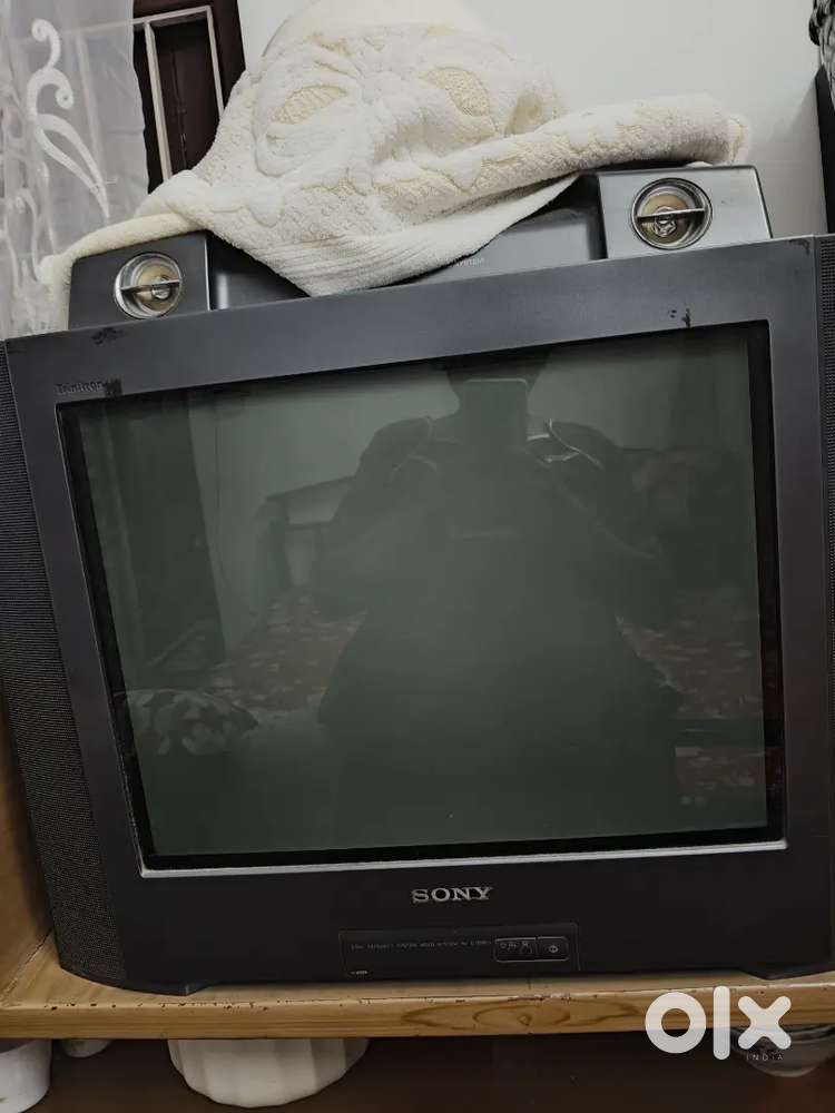 Television
