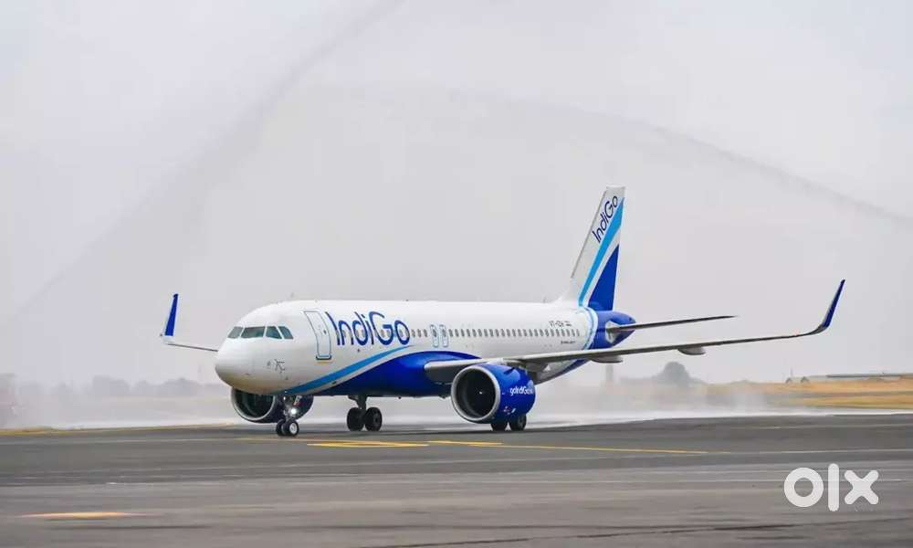 Jobs in indigo airline apply fast