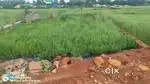 I want to sale my plot