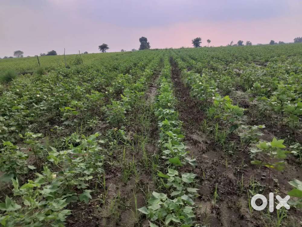 3 acrs farm land for sell  55 lakh urgent nagpur district