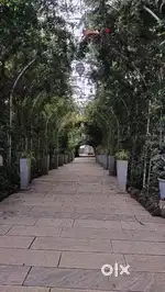 Square residential plot