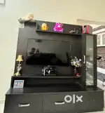 LED TV Unit